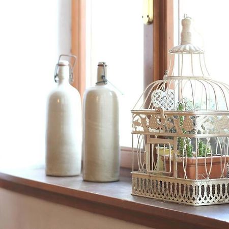 Loft Overlooking The Old Town . Feltre Buitenkant foto